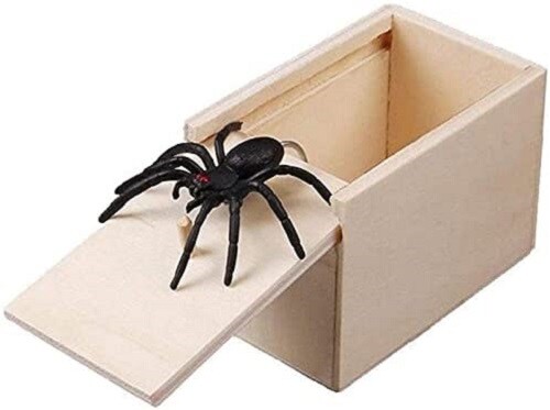 Spider prank box great gift - great,