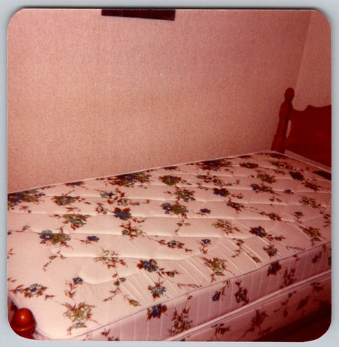 Vtg color snapshot floral - color,