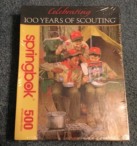 Bsa puzzle celebrating - puzzle, “celebrating